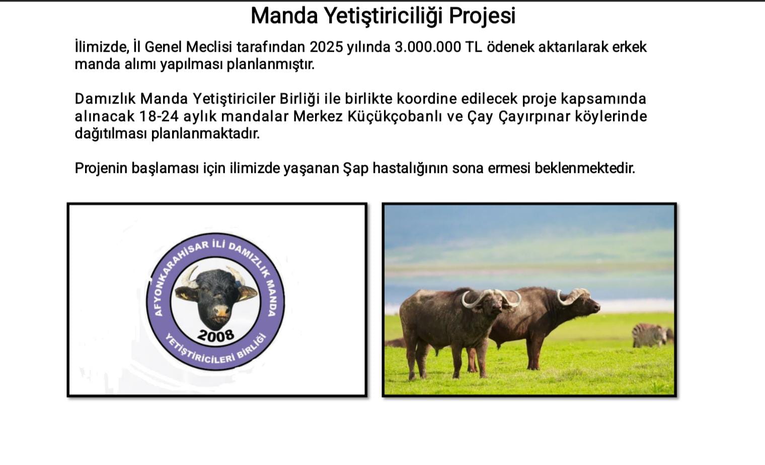 1070Ecad D8Bb 4603 9081 21746Aff09Fa