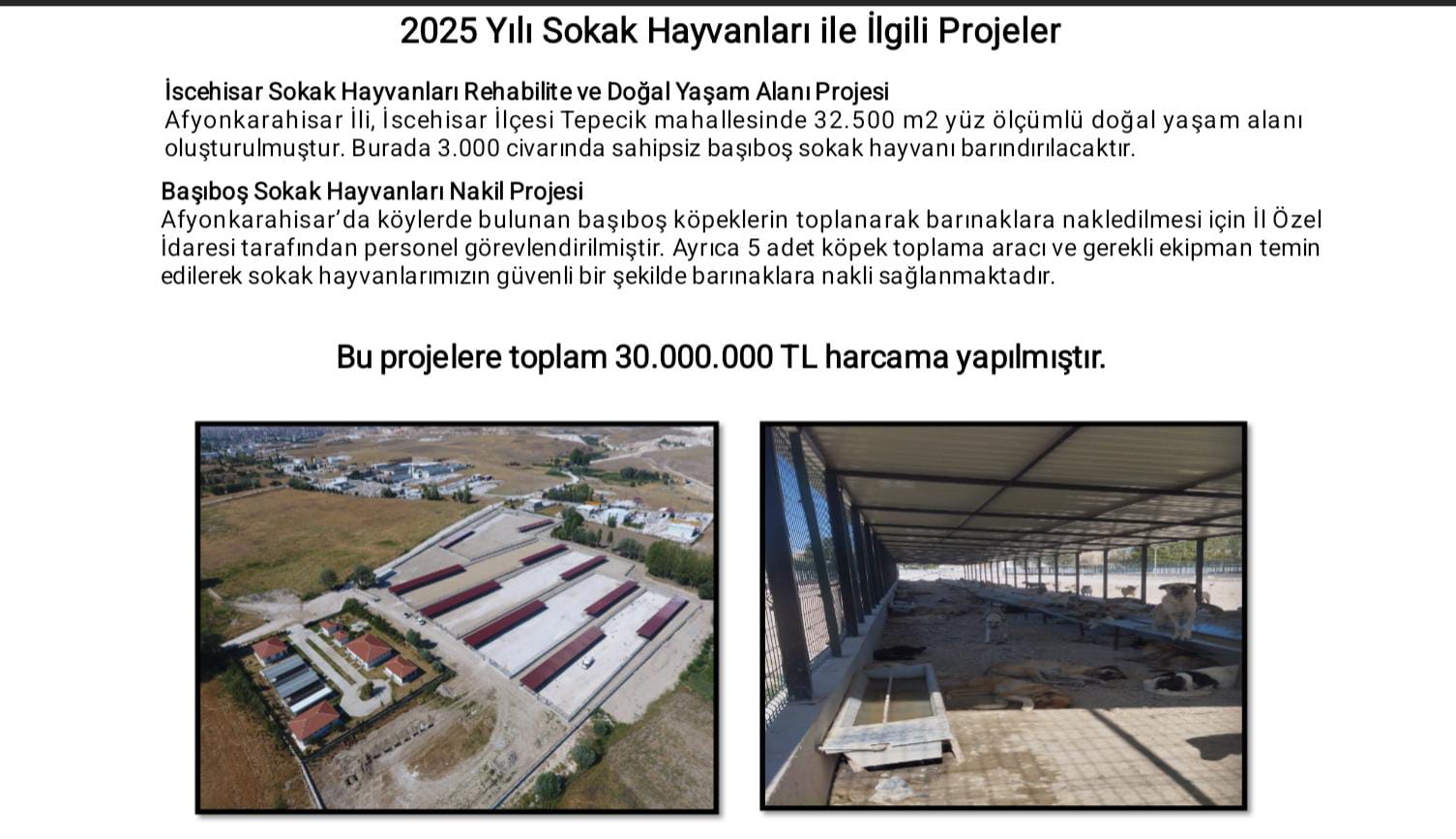 4D06A6F0 A161 4B82 B88E E1830Daf65B8-1