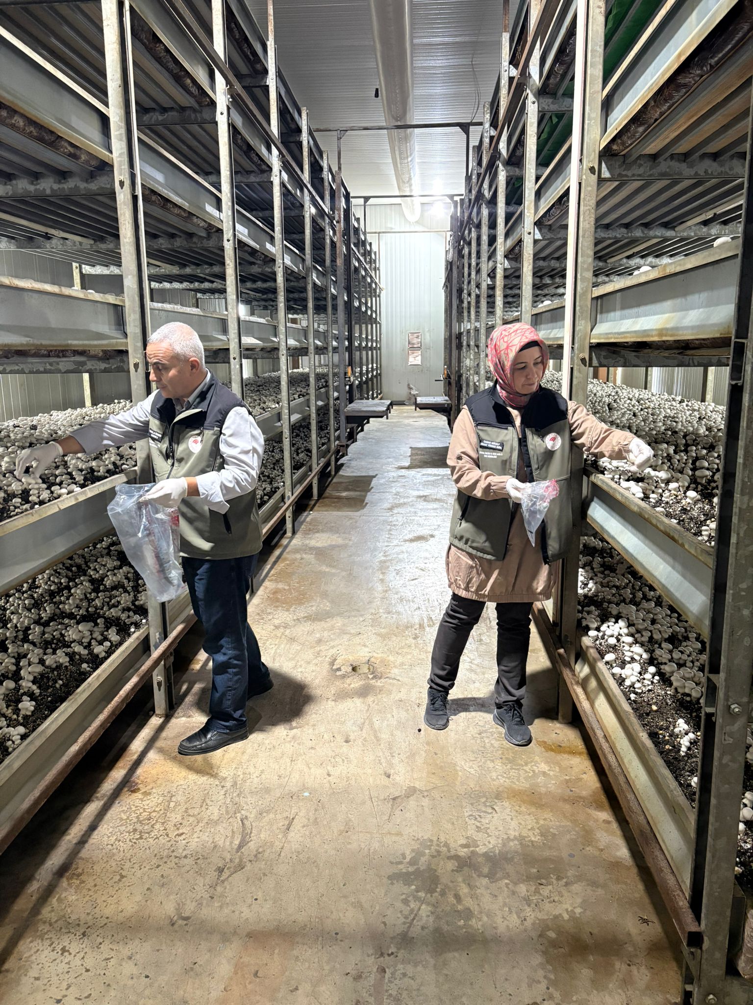 576986610 859386719984256 5844078621018993486 N