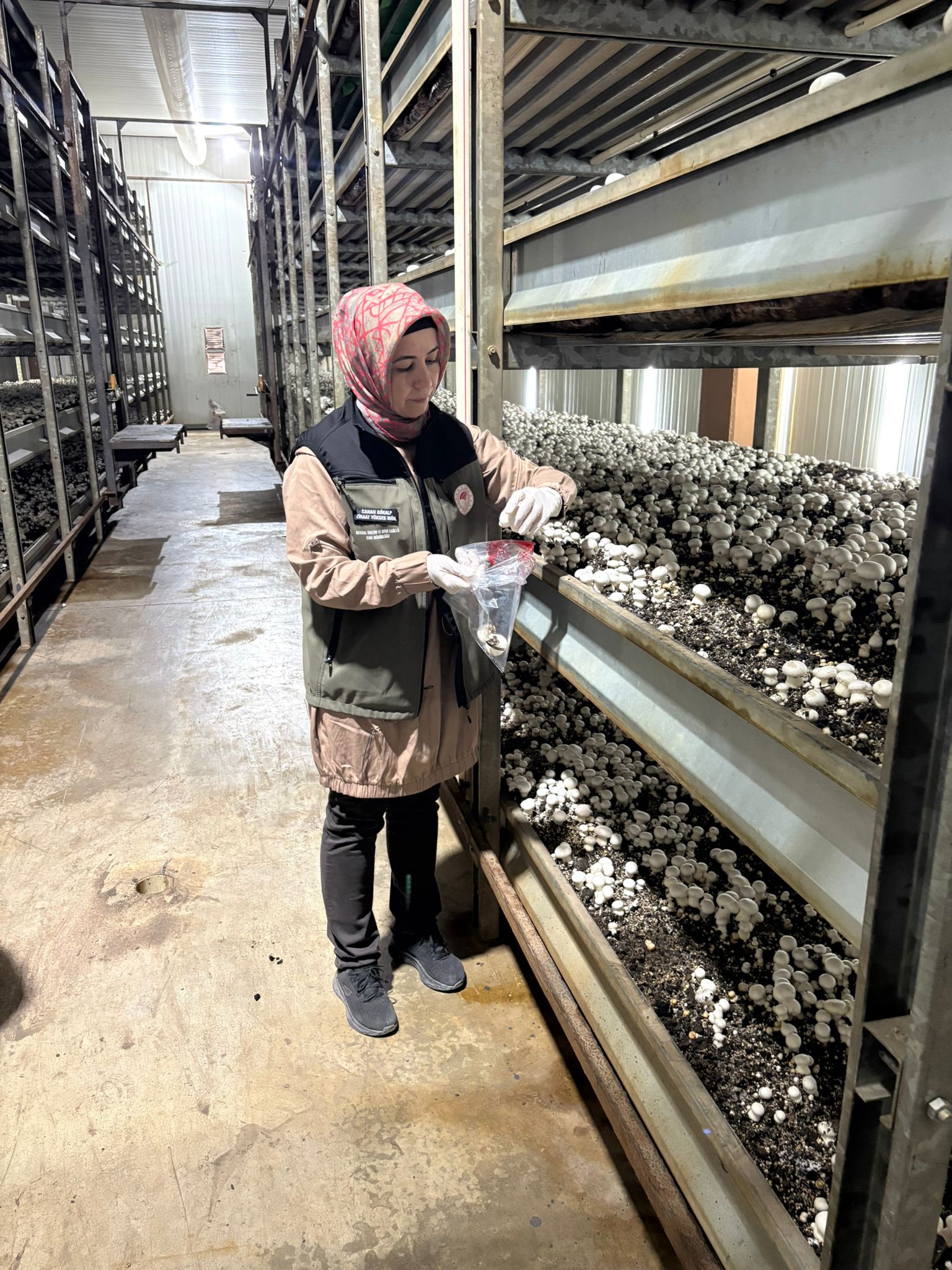 577130176 859386686650926 5009931158533725323 N