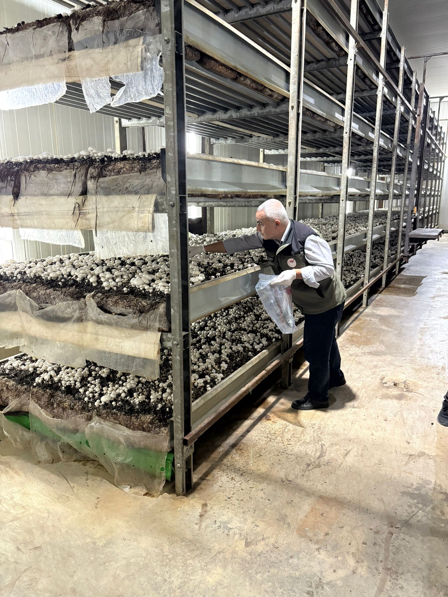 577409410 859386689984259 9142505880580169999 N