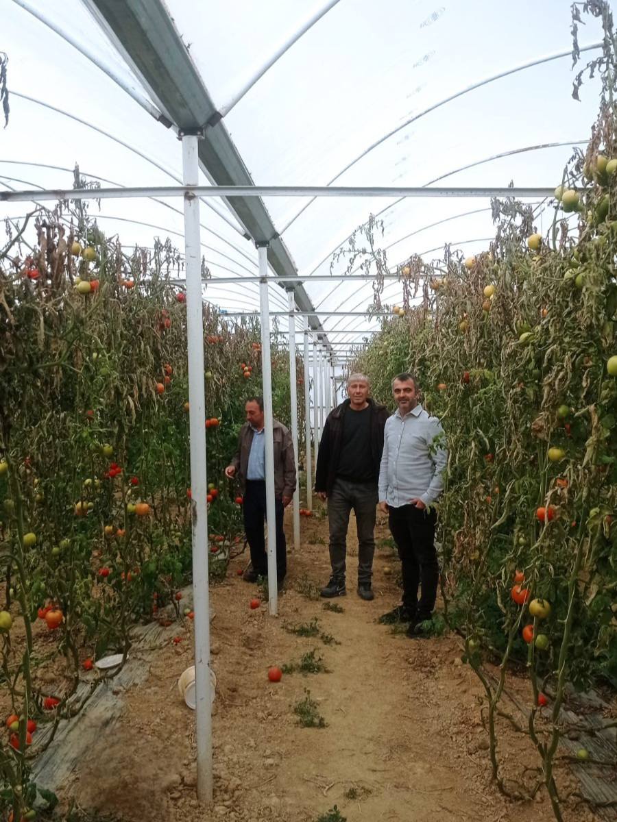 590855600 1286212523548468 2371836338265648886 N