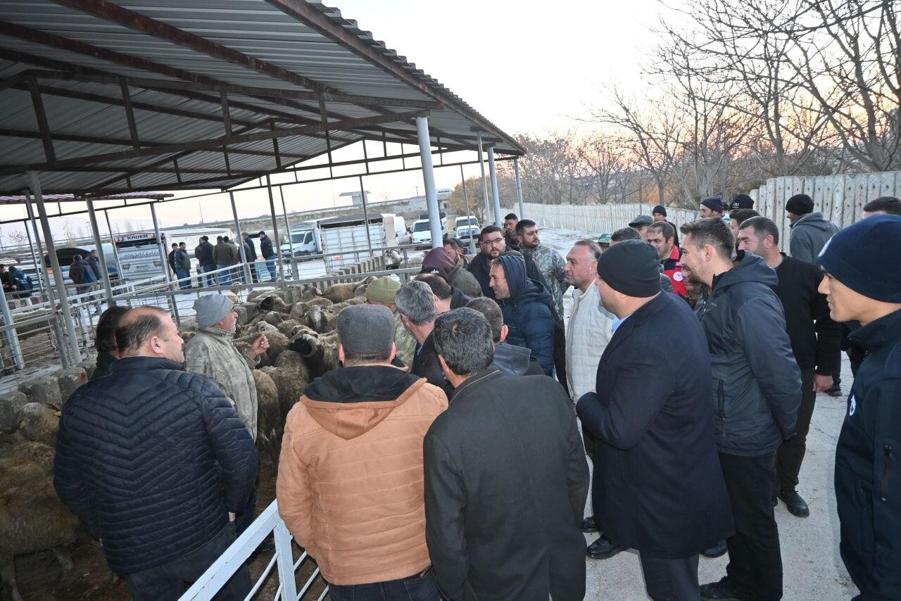 591364345 1167784778805674 8477171690706102636 N