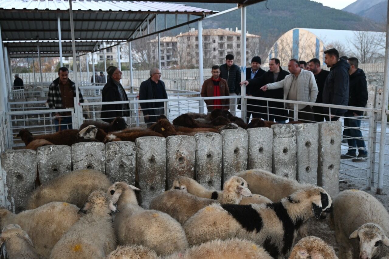 592402624 1167784982138987 8908599774567485906 N