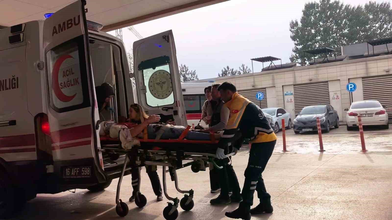 8Db544E8 1C38 44Cc 83F4 B7A70B60F10F