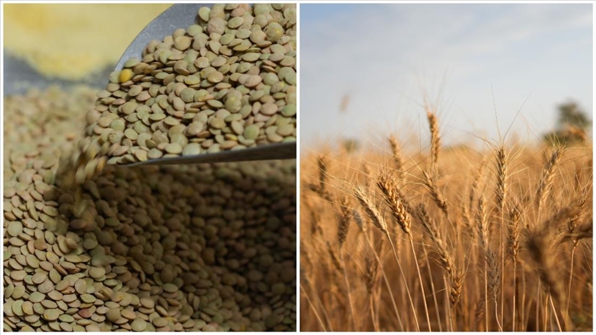 Thumbs B C 3Fc58945D2Ef89Fcbb543F04A0C54D13