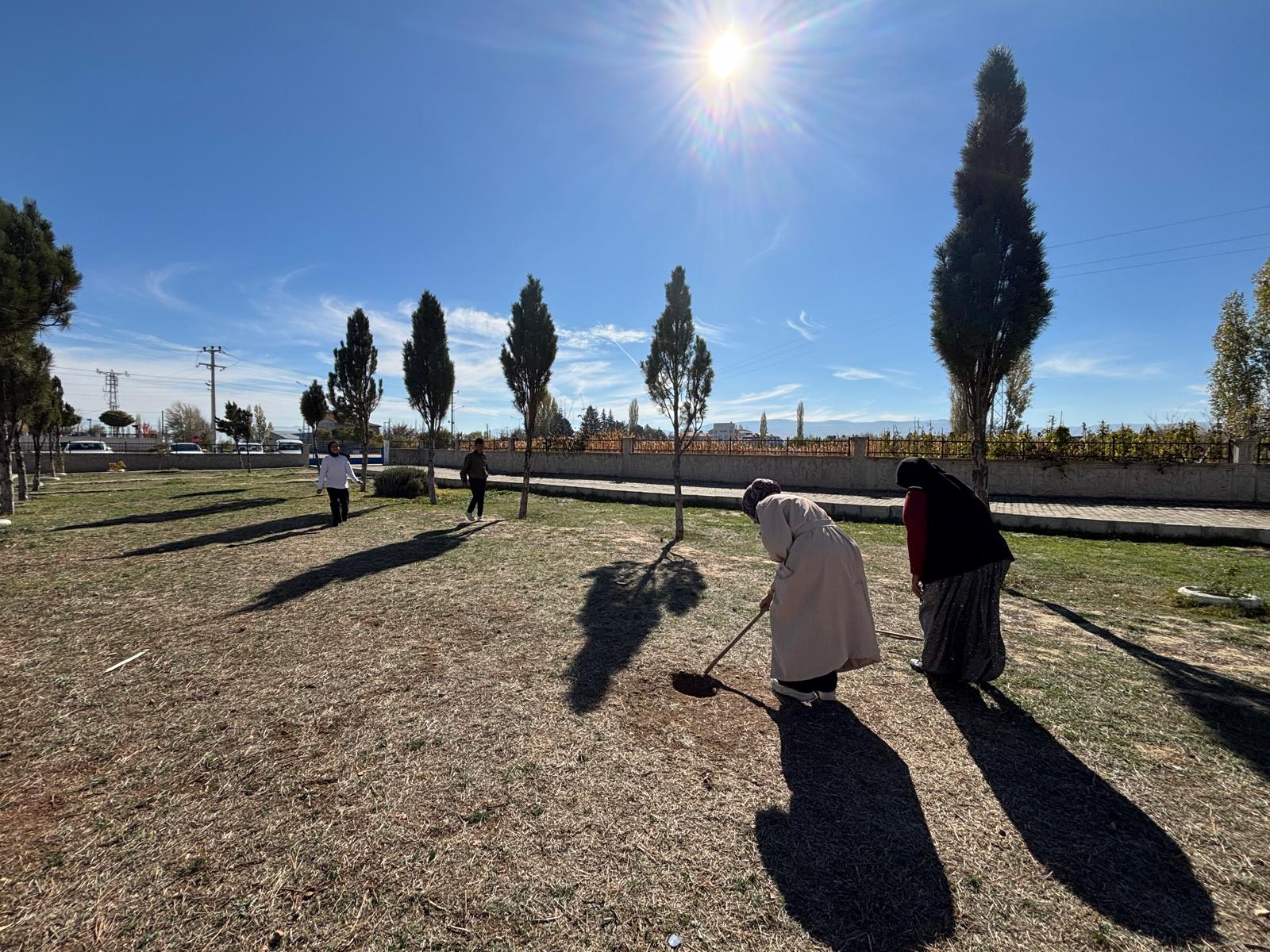 7D3756B3 C4De 4560 9609 E8A70A9Eb5Cd