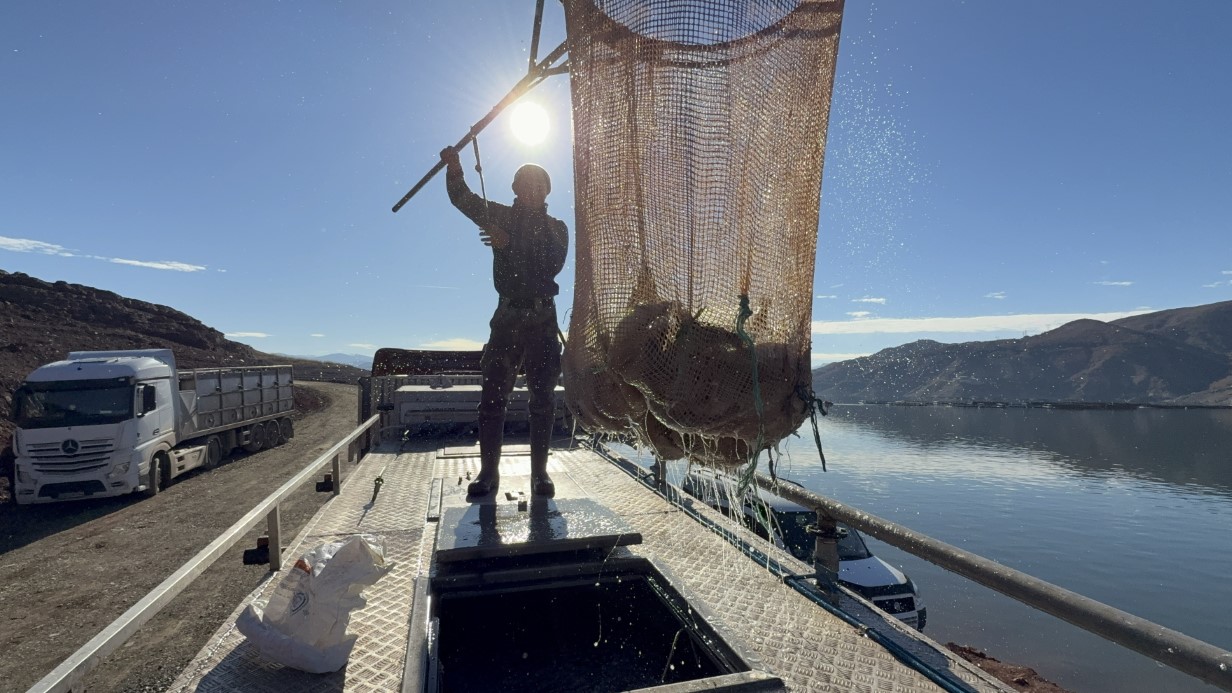 Aw593989 02 1765008661