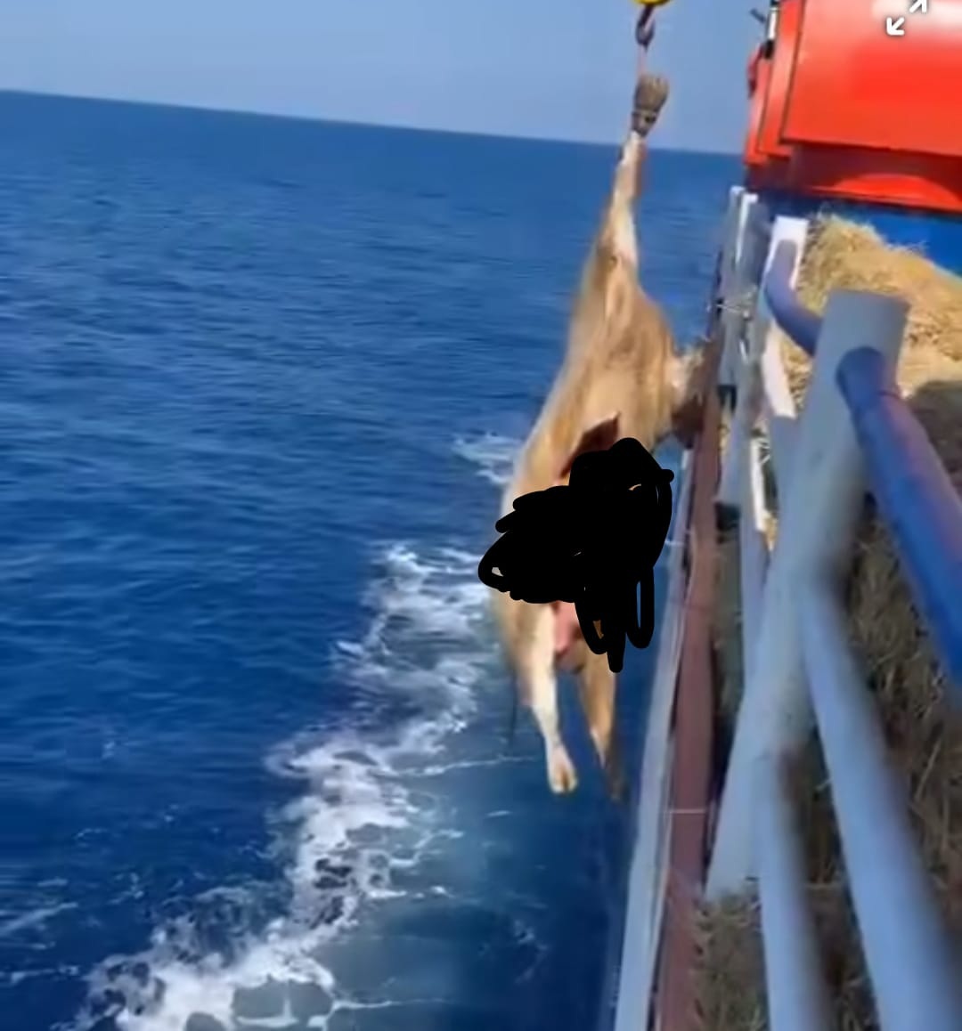 İyi̇ Parti̇’den Hastalikli İthalat İsyani “Türk Hayvanciliği Çökerti̇li̇yor!” (3)