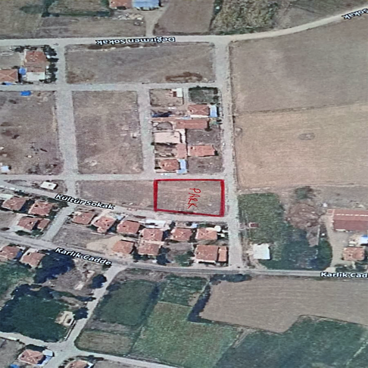 Şuhut’ta Beledi̇ye Ve Emni̇yetten Örnek Ağaçlandirma İş Bi̇rli̇ği̇ (1)