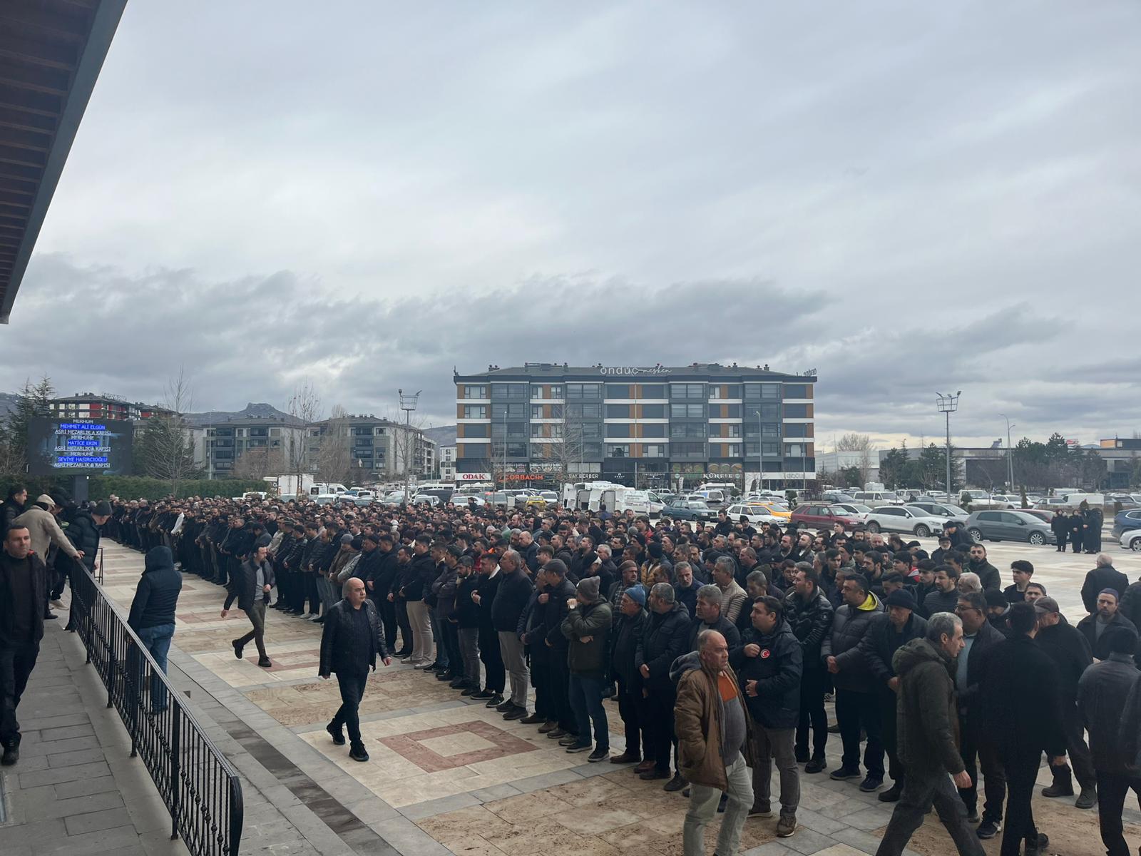 894615Ea 6Ba5 4477 A3B1 0Da0068C5990