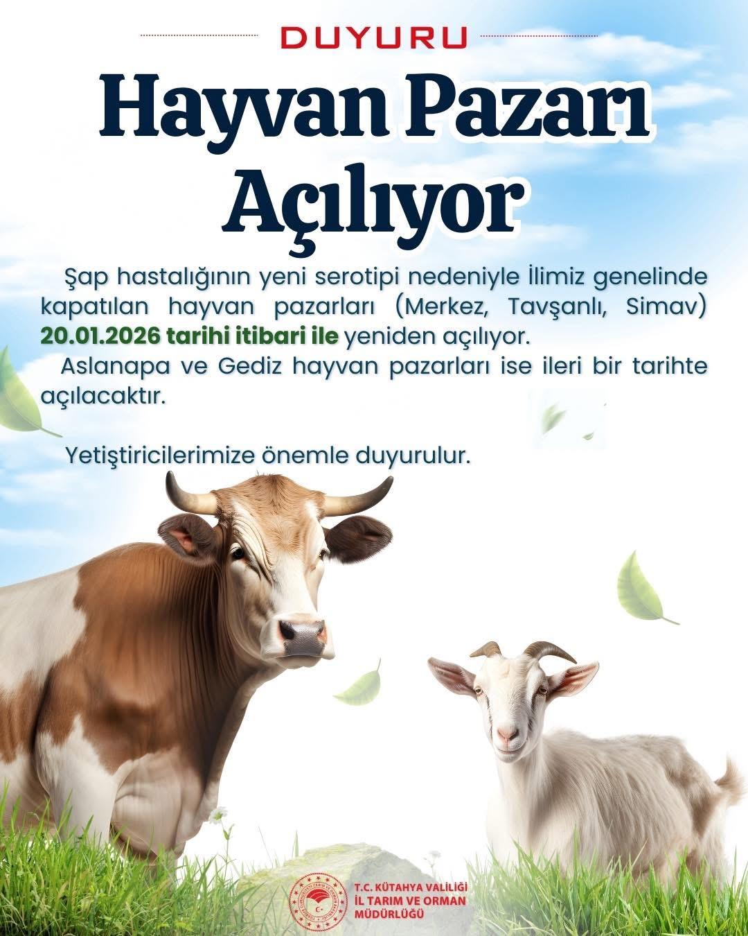 F3Dbf06B B7B7 4Cbd B5B5 C4605A28983C