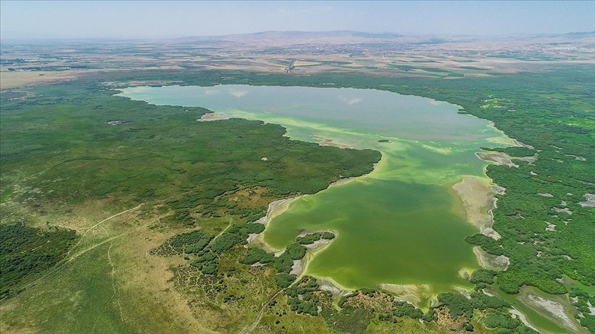 Thumbs B C 1Bd8048535Db008Fe07B9010F5A1541B