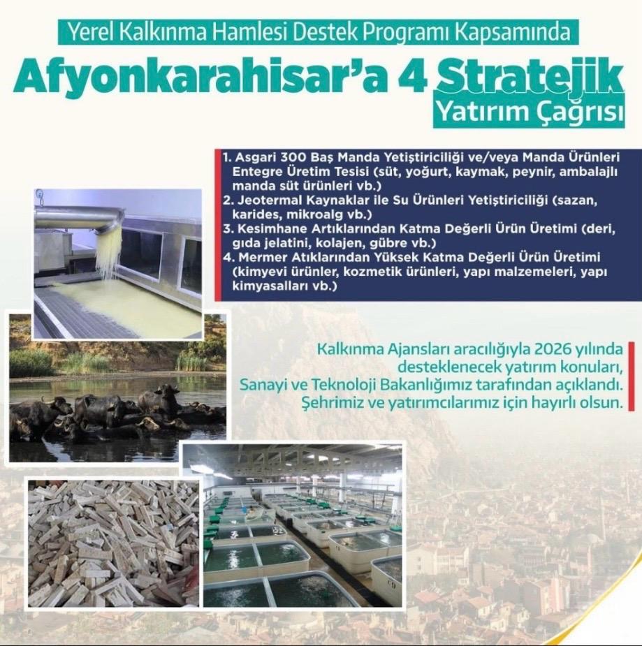 Whatsapp Image 2026 01 31 At 16.13.54