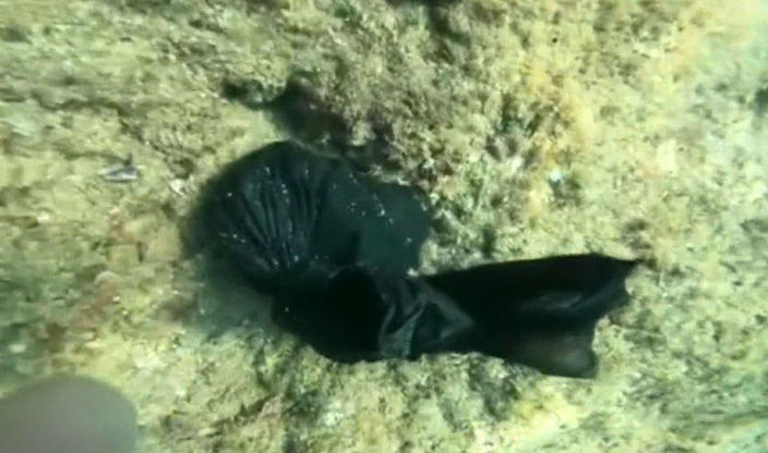 3863694 52822B6E1Aa7F932E8C2183231114Fdf