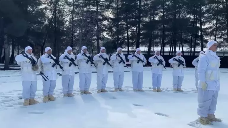 699038Bb2F381501260464B2