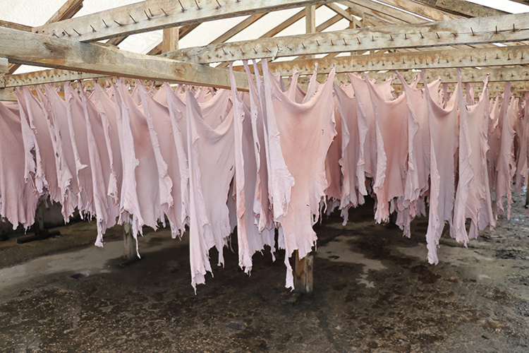 Dünya Vi̇tri̇ni̇ndeki̇ Ayakkabilarin Astari Komşudan2