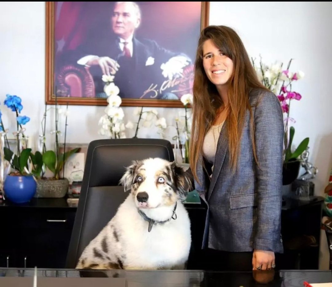 H B Ttc Jgbc A Ao872