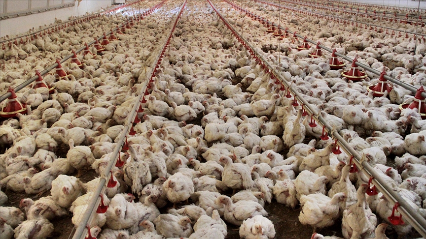 Thumbs B C Fd2Cfd279B1590469C64A9436D556B3F