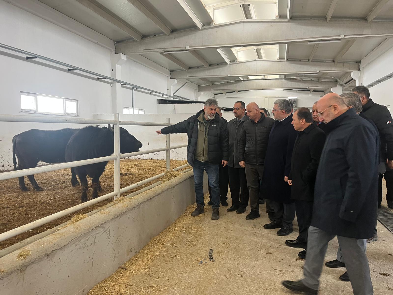 Whatsapp Image 2026 02 23 At 11.43.50 (3)