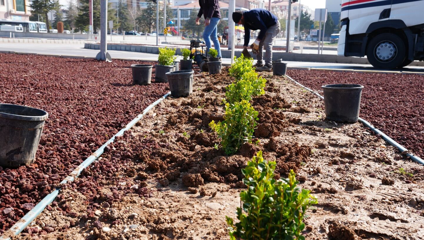 657607668 18401209807146660 7790309098632687853 N