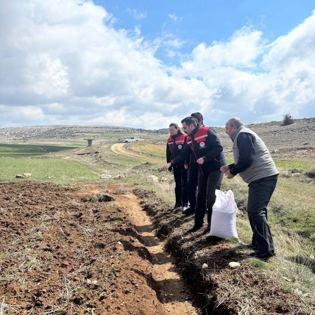 670448771 18067041224658714 3707813303356468505 N