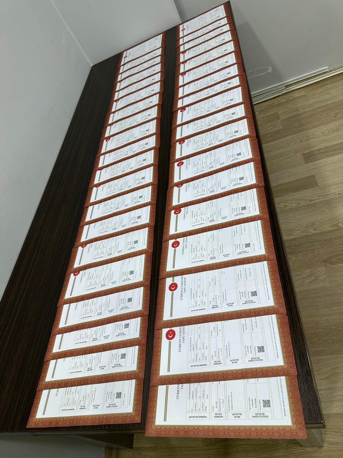 672686321 10165806069999573 8504993609942443691 N