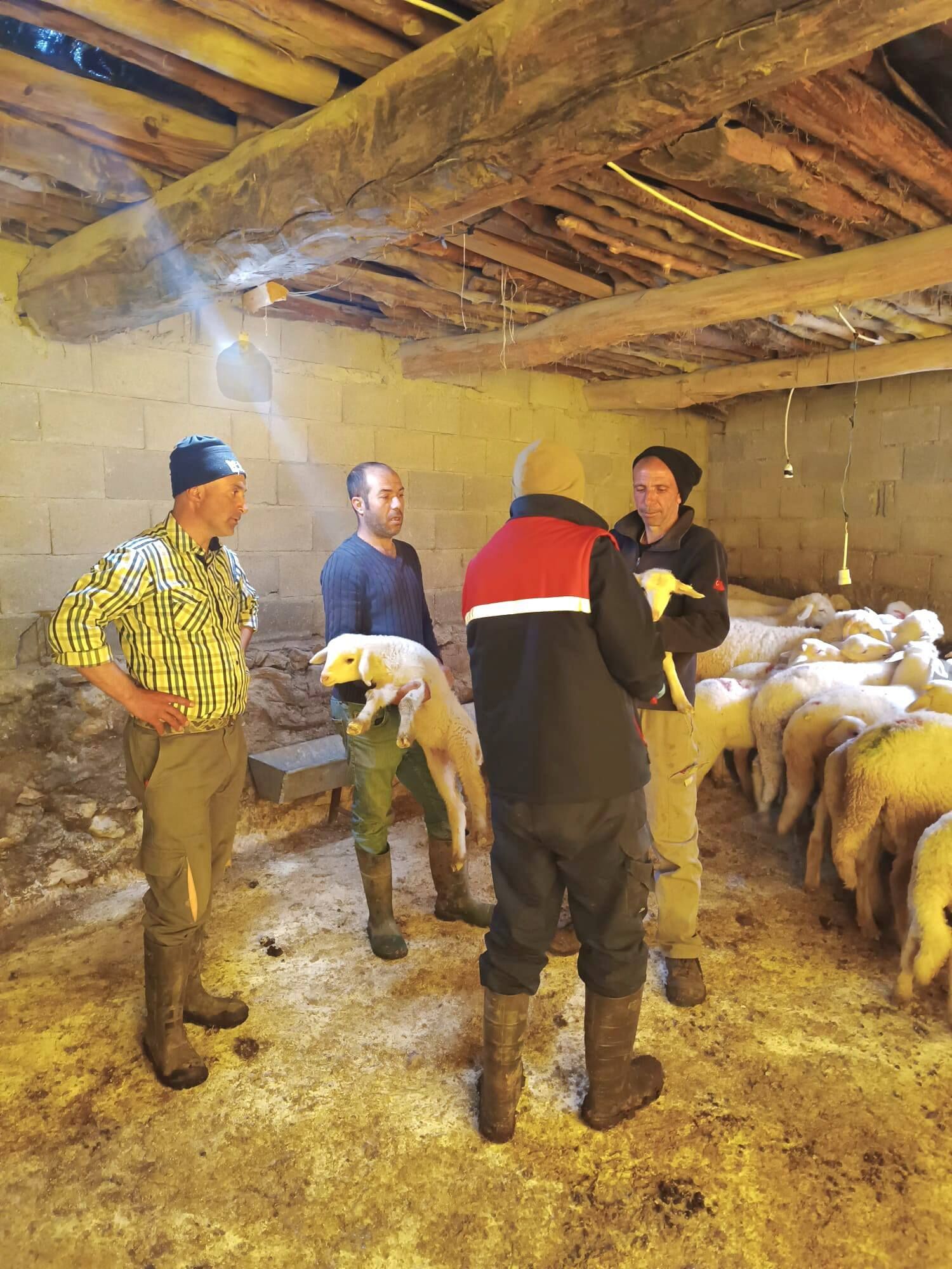 Afyonkarahi̇ar’da Hayvan Sağliği Çalişmalari Araliksiz Sürüyor1