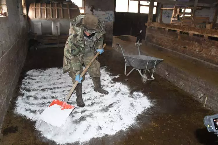 G U B9 L 1775727943 6728 W750 H500