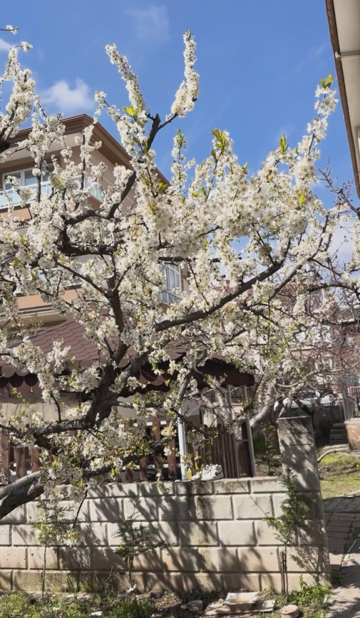 Görsel 2026 04 21 150748847