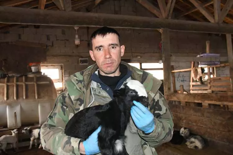 H P8 F G 1775727931 5819 W750 H500