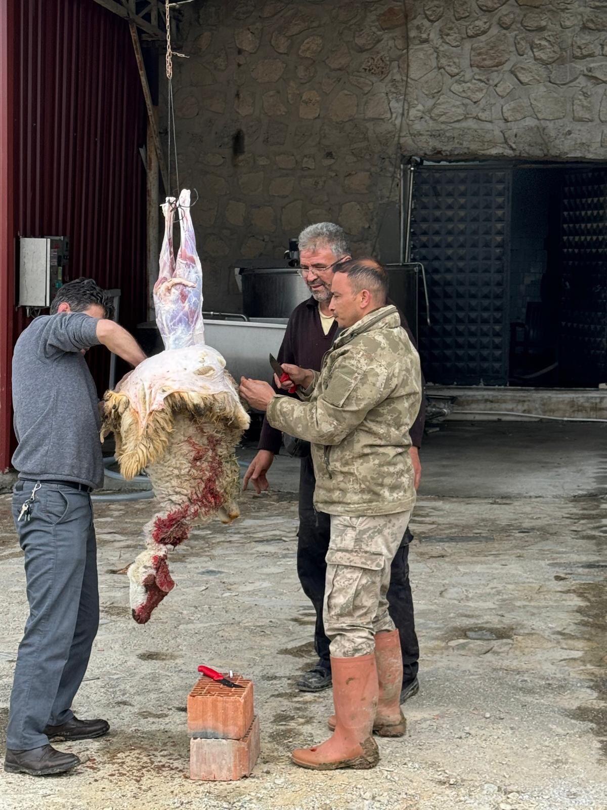 Karamık Karacaören’de Mandıra Yeniden Faaliyete Geçti1