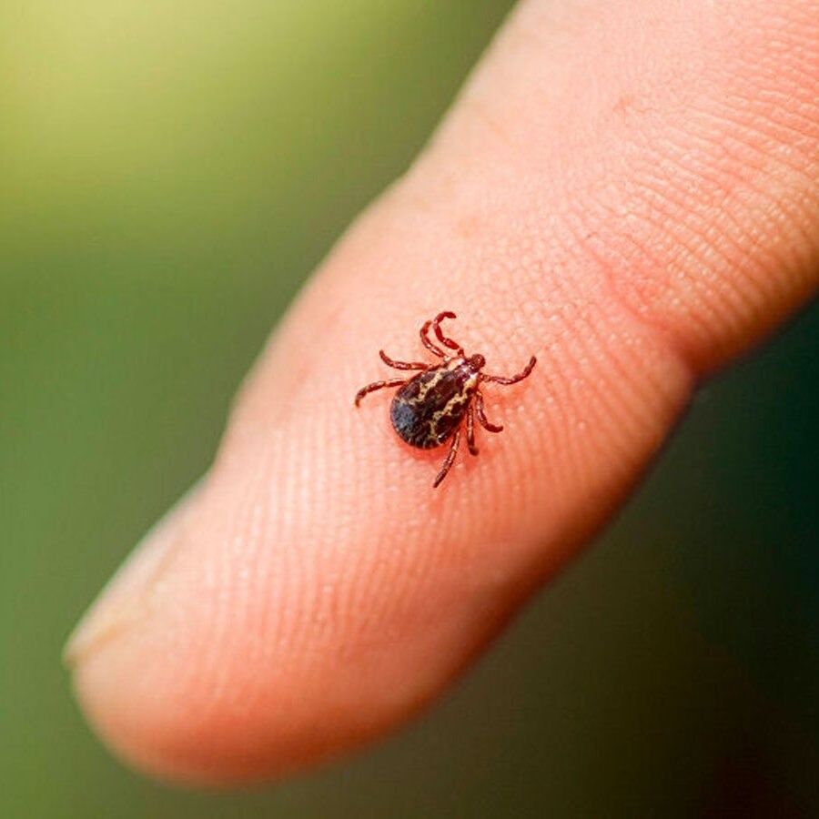 Whatsapp Image 2026 04 10 At 14.39.33