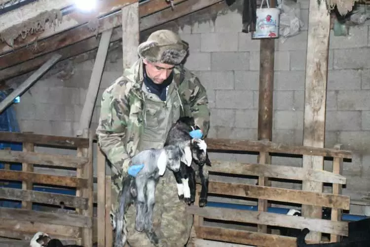 Wtd W J 1775727923 8358 W750 H500