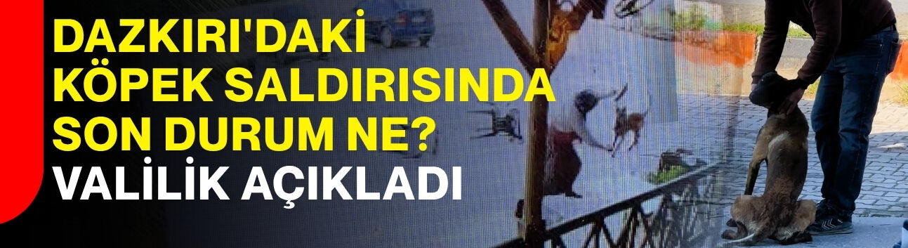 Dazkırı'daki köpek saldırısında son durum ne? Valilik açıkladı