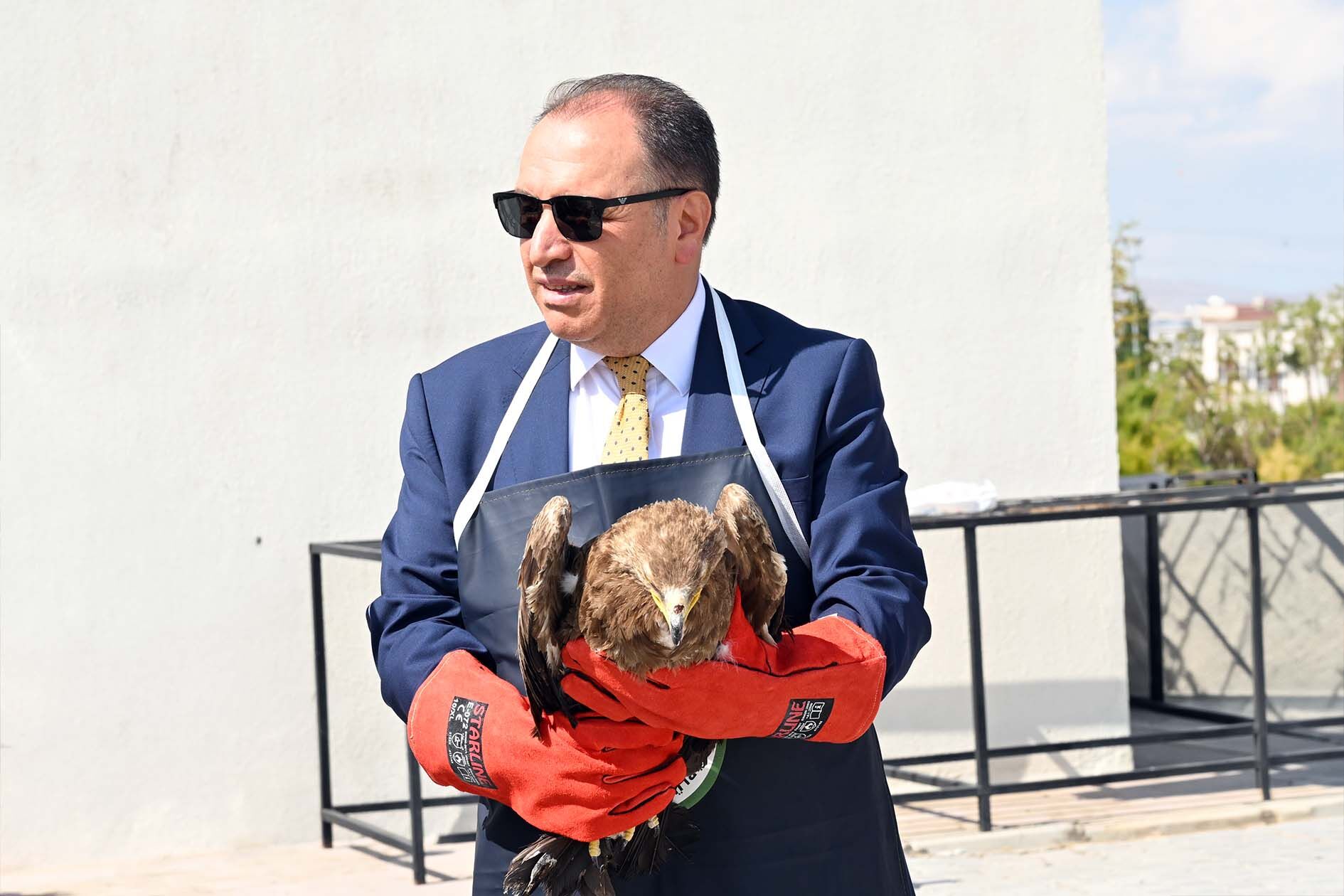 Karakaş (2)