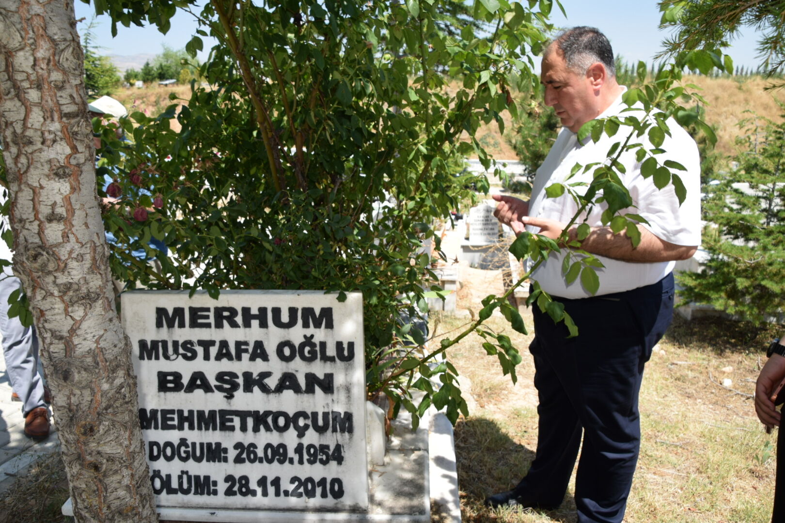 Misirlioğlu (6)