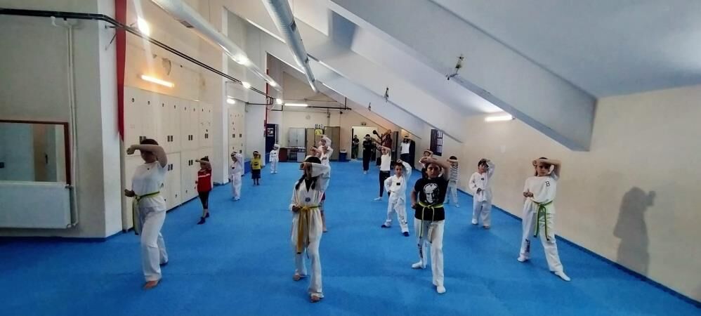 Taekwondo2