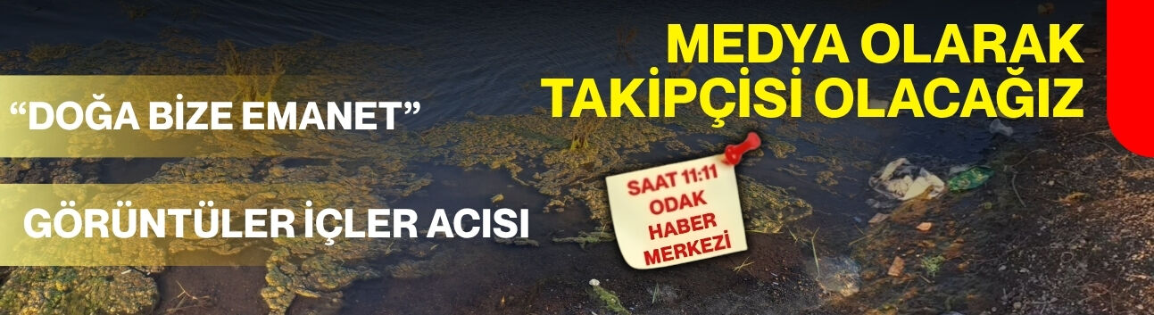 Duyarsızlığın bedelini doğa ödüyor