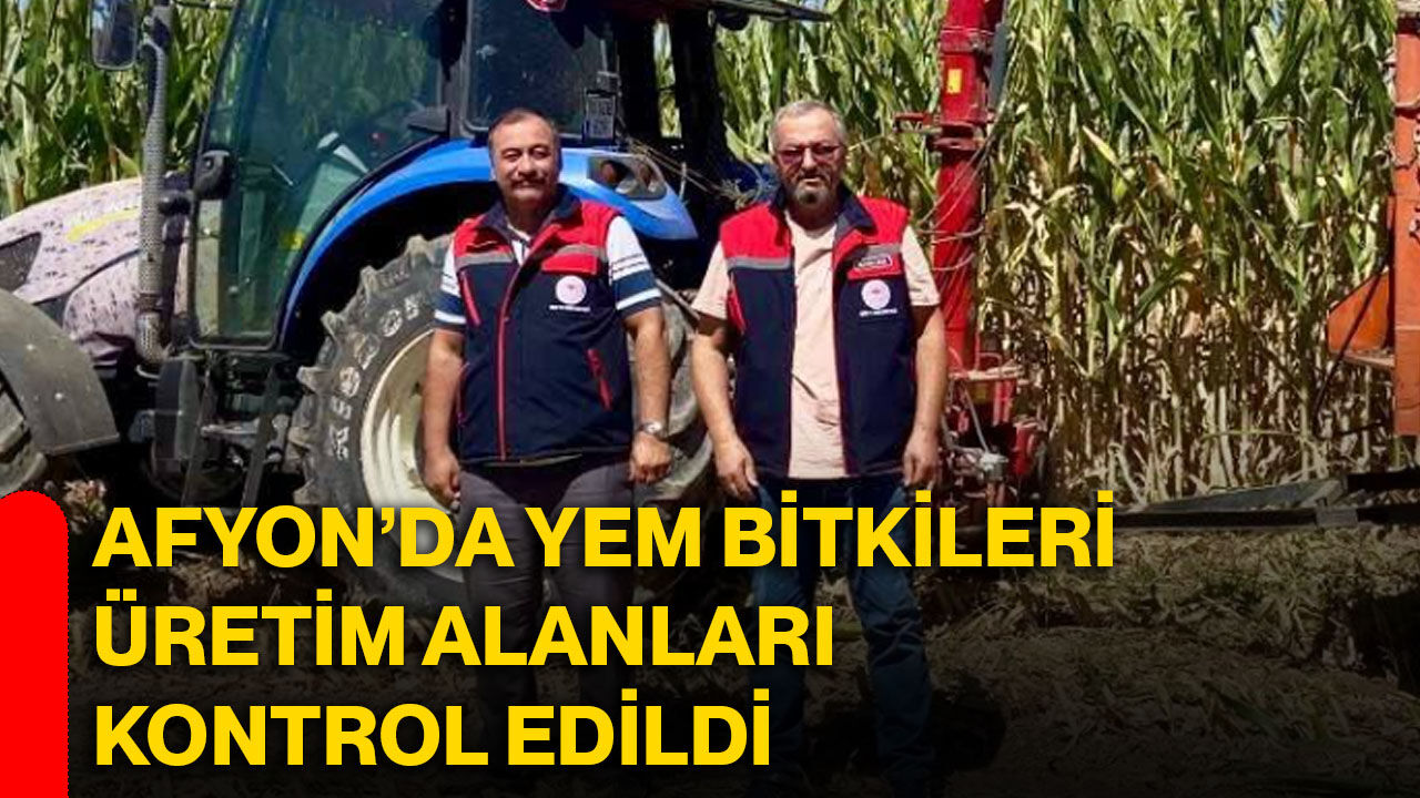 Afyon’da yem bitkileri üretim alanları kontrol edildi