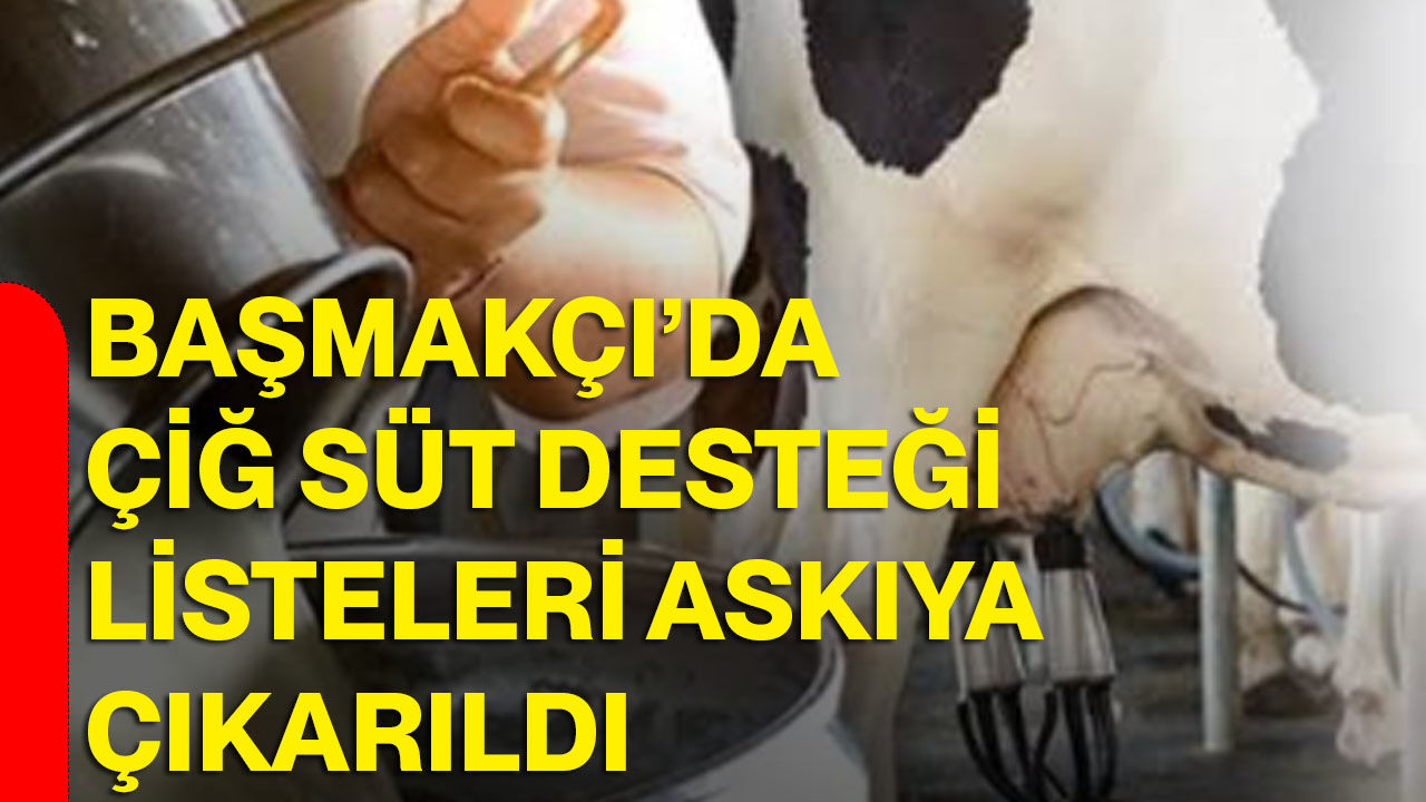 Başmakçı’da çiğ süt desteği listeleri askıya çıkarıldı