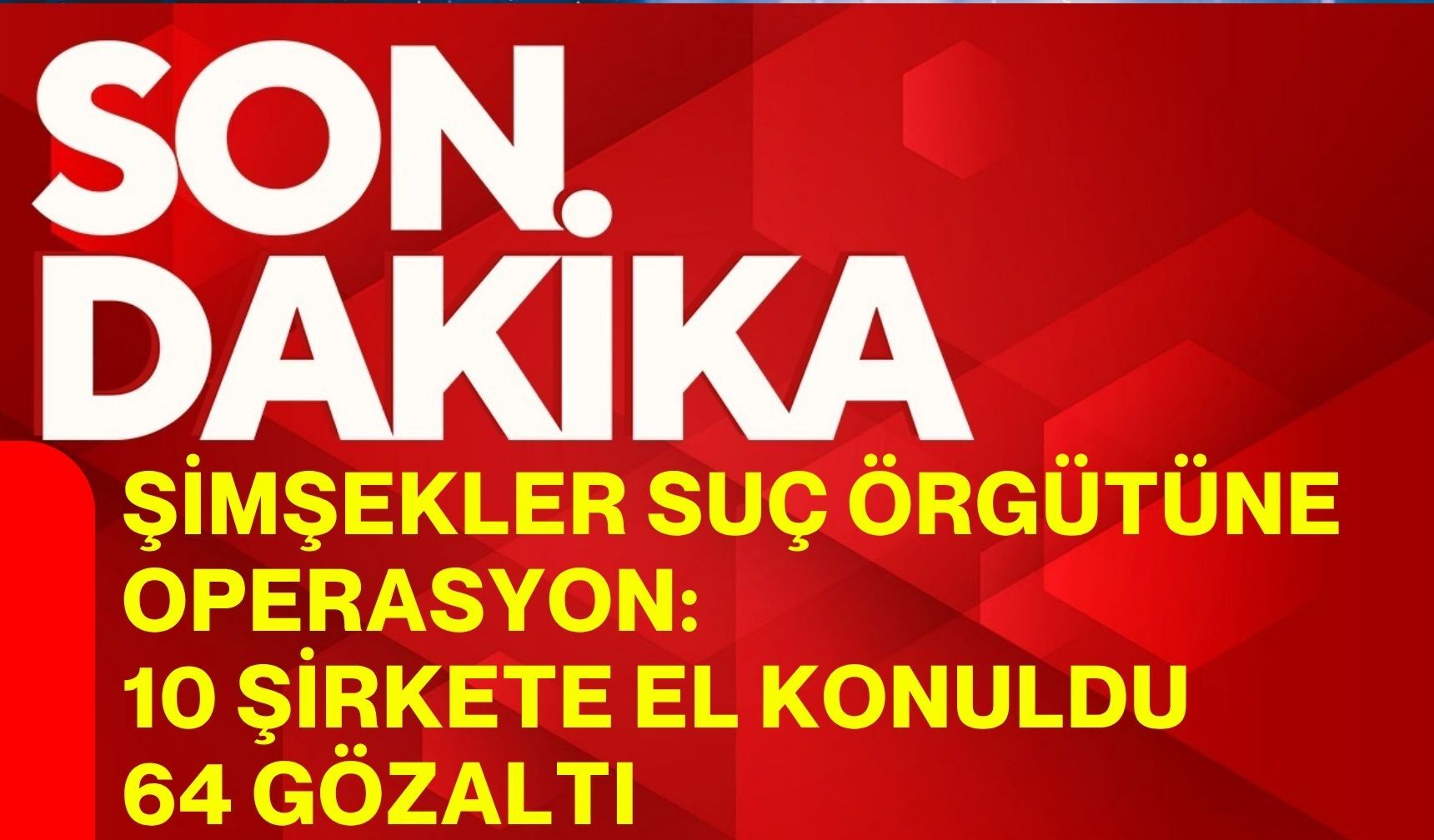 Şimşekler suç örgütüne operasyon: 10 şirkete el konuldu, 64 gözaltı