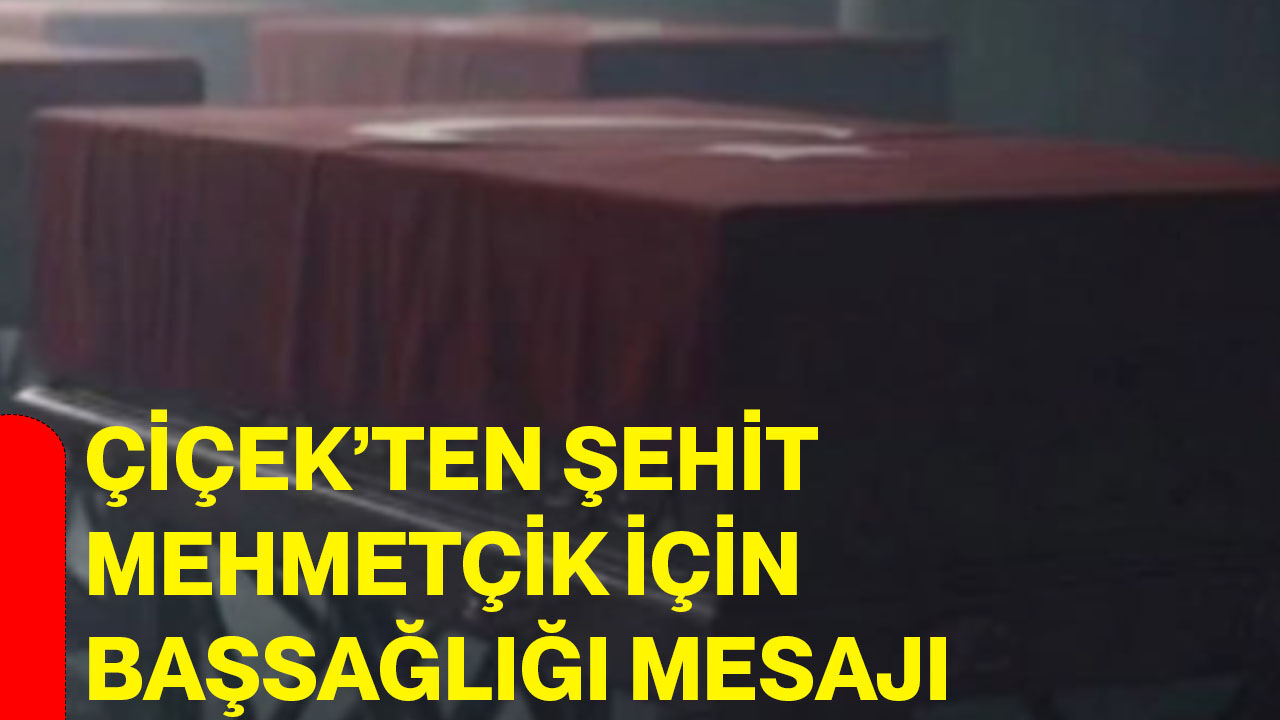 Çiçek’ten şehit mehmetçik için başsağlığı mesajı