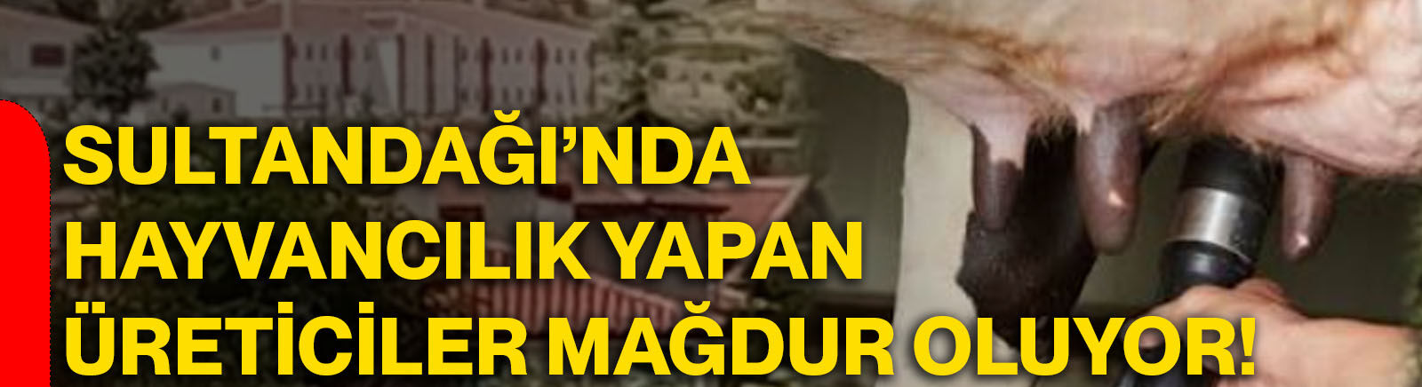 Sultandağı’nda hayvancılık yapan üreticiler mağdur oluyor!