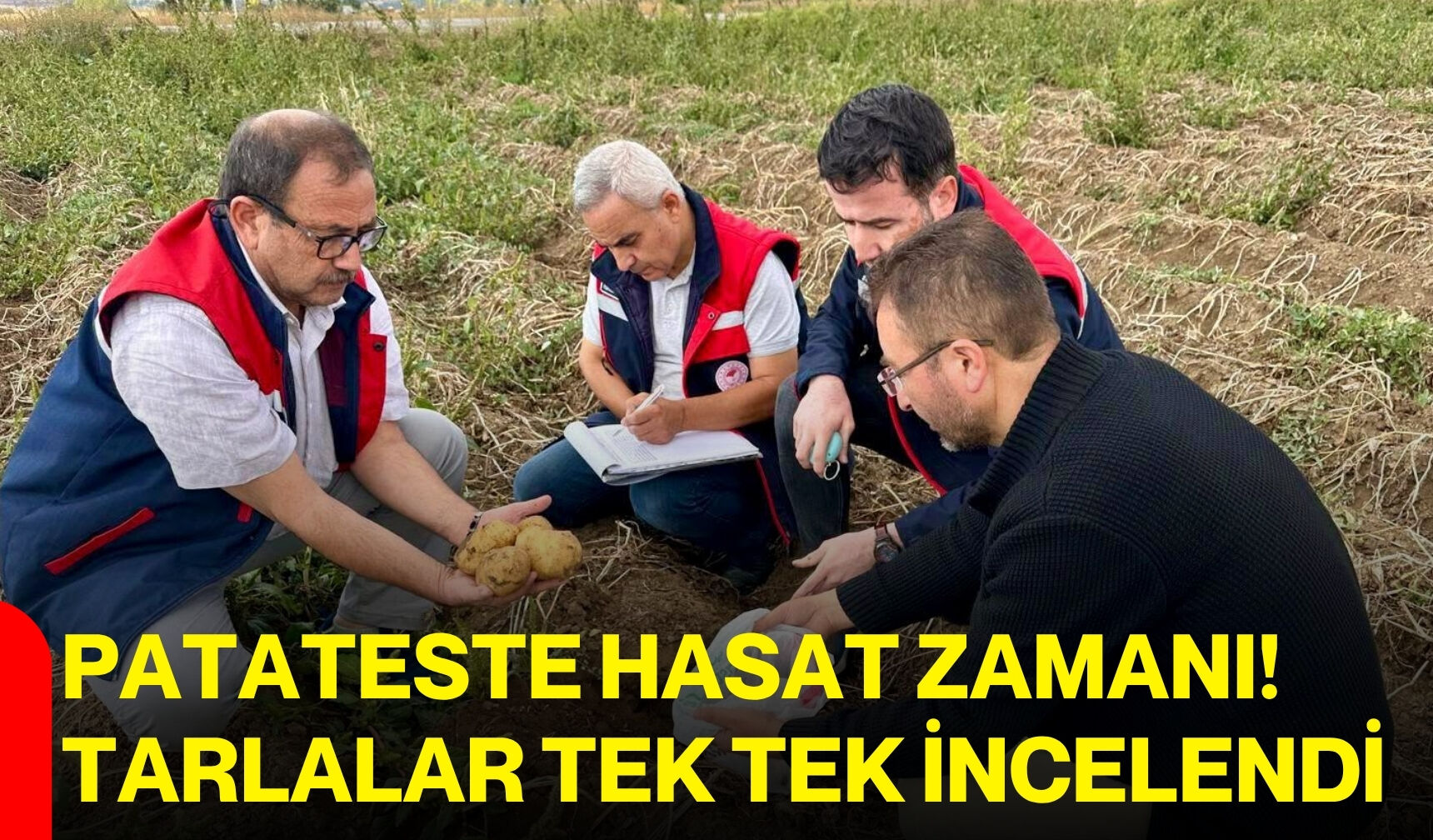 Patateste hasat zamanı! Tarlalar tek tek incelendi