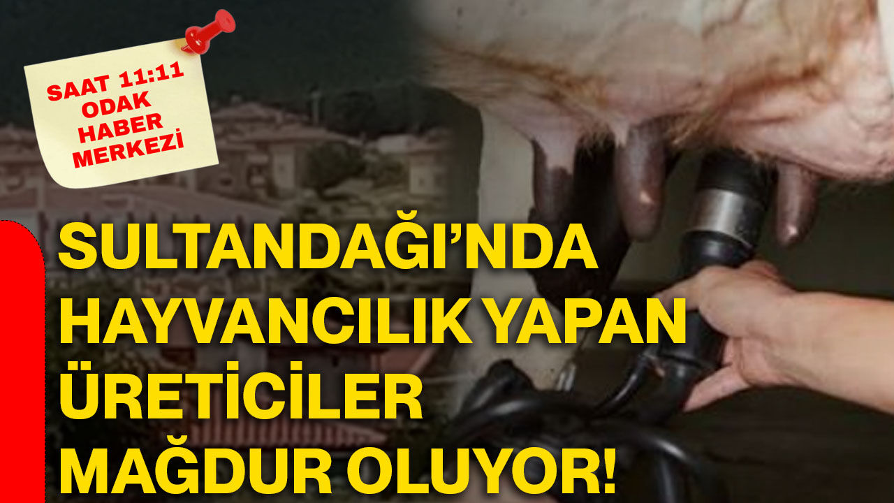 Sultandağı’nda hayvancılık yapan üreticiler mağdur oluyor!