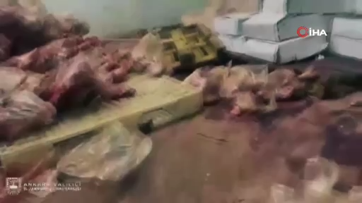 Videoframe 15420
