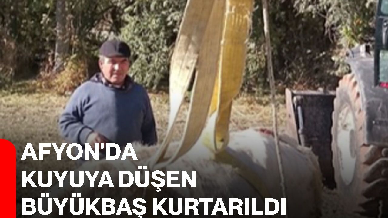 Afyon'da kuyuya düşen büyükbaş kurtarıldı