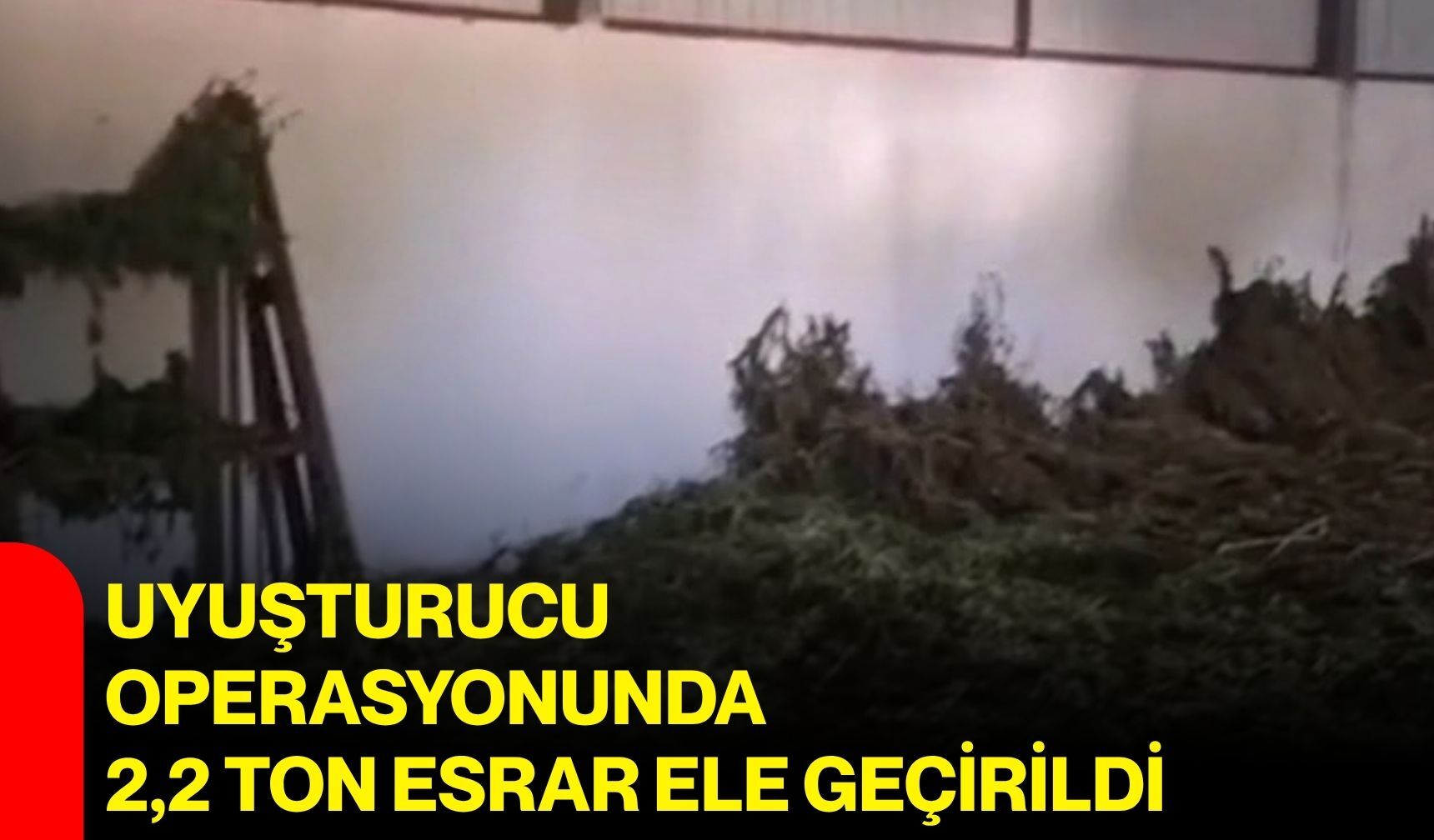 Uyuşturucu operasyonunda 2,2 ton esrar ele geçirildi