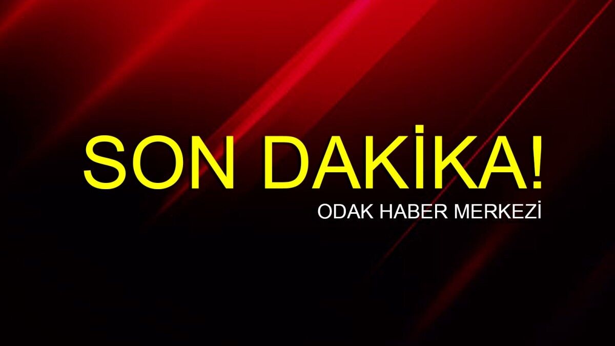 Yakalanan DEAŞ üyesi tutuklandı
